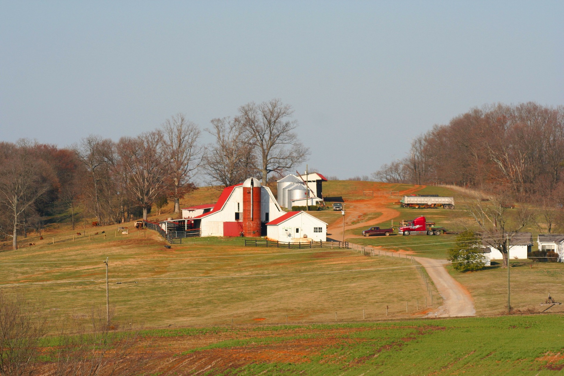 Tennessee Farm Grants 2025 - Arden Violetta